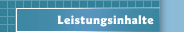 Leistungsinhalte